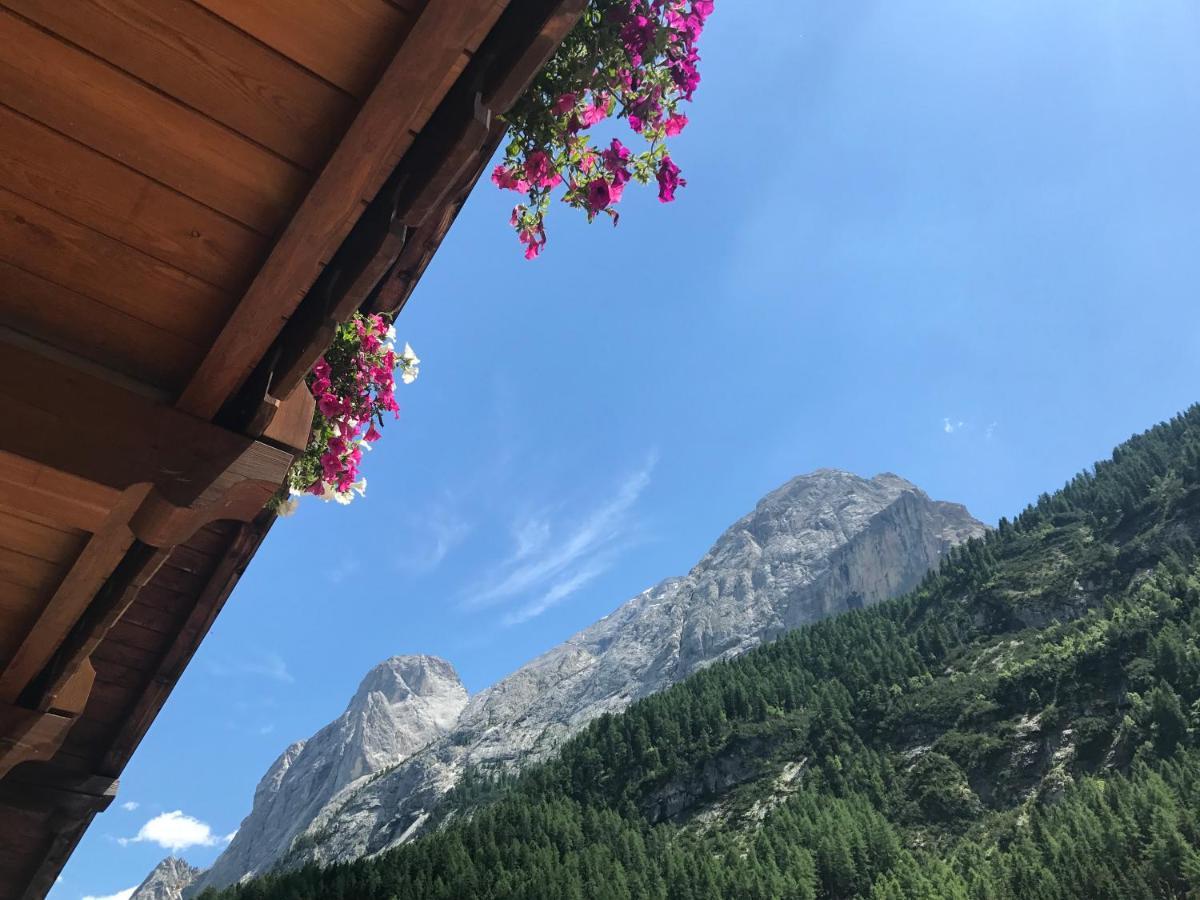 Cesa Mandi e Miky Daire Canazei Dış mekan fotoğraf