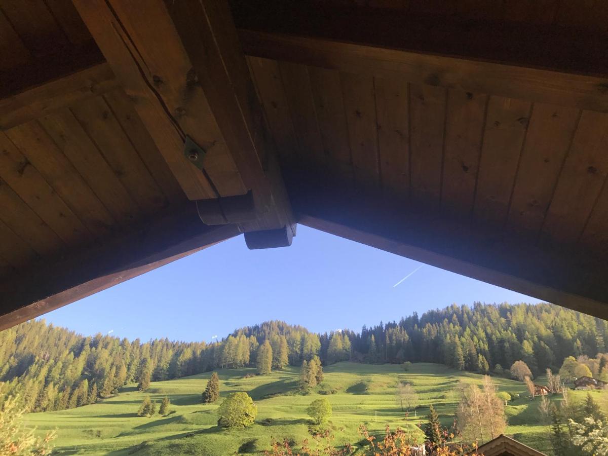 Cesa Mandi e Miky Daire Canazei Dış mekan fotoğraf